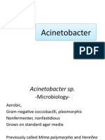 Acinetobacter