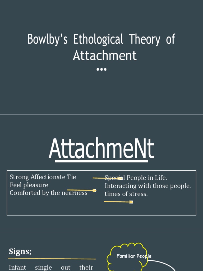 Bowlby's Four Phases of Attachment | PDF | Attachment Theory | Infants
