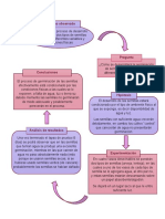 Proceso Metodo Cientifico