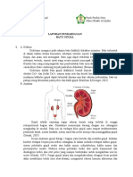 LP Batu Ginjal Bahiya