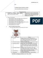 LKPD Sistem Reproduksi 2022