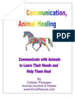 Animal Communication Animal Healing