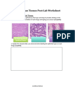 Mammalian Tissues Post-Lab Worksheet