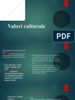Valori Culturale