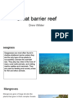 Great Barrier Reef