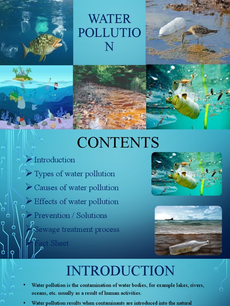 Human Impact on Water Pollution | PDF | Water Pollution | Water