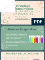 Pruebas bioquímicas para la identificación de bacterias
