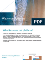 Geo - Wave Cut Platforms