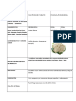 Ficha Tecnica Del Coliflor