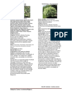 para impressão 1.1 - árvore 2 - Google Docs