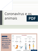 Coronavírus felino e a peritonite infecciosa felina