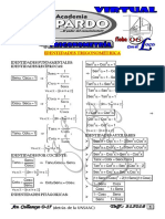 06 Pardo Trigo Virtual Identidades