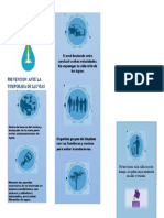 FolletoTEMPORADA DE LLUVIAS