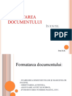 Formatarea Documentului in Excel