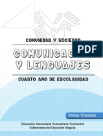 4 °comunicacion y Lenguajes