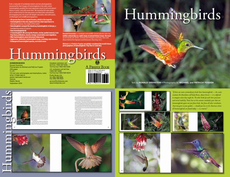 Comprehensive Guide to Hummingbirds | PDF | Birds | Organisms