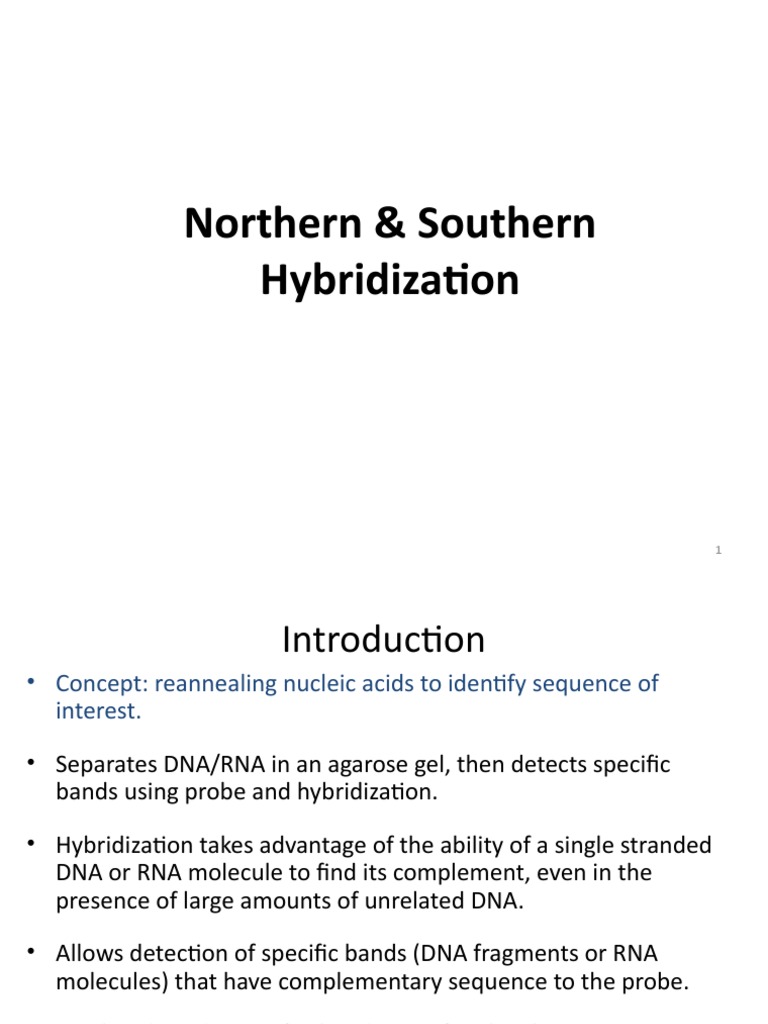 Southern and Northern Blot Techniques | PDF | Gel Electrophoresis ...