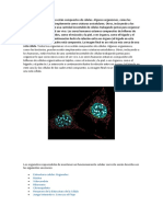 Todos Los Organismos Vivos Están Compuestos de Células