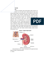 LAPORAN PENDAHULUAN Nefropati Diabetik