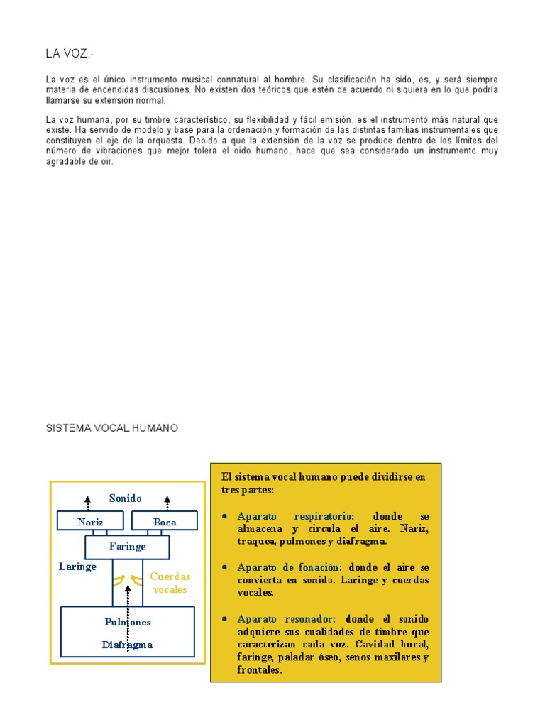 La Voz Humana | PDF | Presentación musical | Elementos de la música