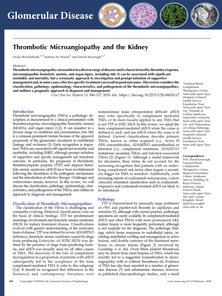 Thrombotic Microangiopathy and The Kidney | PDF | Anatomy | Immunology