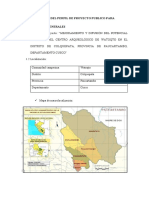 Esquema Del Perfil de Proyecto Publico para Entrega