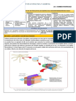 3° Sec. Semana 3 EDA 9 Del 29-11