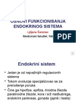 Osnovi Funkcionisanja Endokrinog Sistema