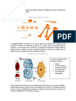 Taller Biologia