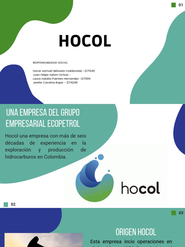 Responsabilidad Social de Hocol en Colombia | PDF | Evaluación de ...