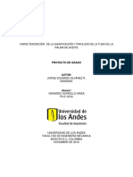 Caracterización de La Gasificación Y Pirolisis de La Tusa de La Palma de Aceite