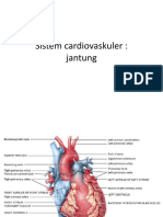 Sistem Cardiovaskuler