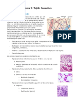 Tema 3 Organografía