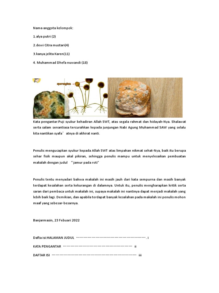 Biologi - Jamur Pada Roti | PDF