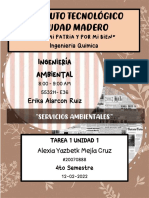 Servicios Ambientales CD Madero