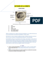 Oftalmologia Apunte