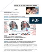 La Respiration Chez Lhomme