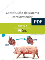 sistema cardiovascular 9º
