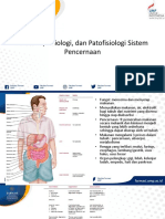 Anatomi, Fisiologi, Dan Patofisiologi Sistem Pencernaan