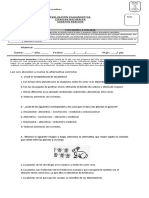 Diagnostico Ciencias Naturales Cuartos Basicos