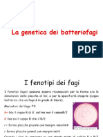 Genetica dei Batteriofagi