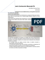 Cuestionario Contracción Muscular