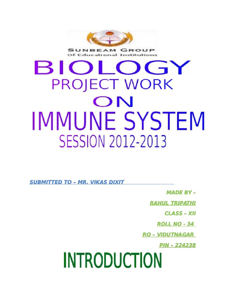 Class 12 Biology Project on Immunity | PDF | Immune System | Anatomy