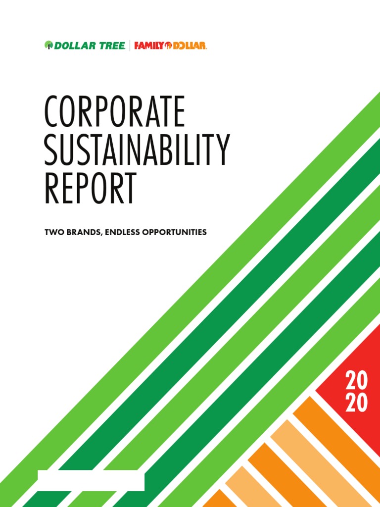 2020 Corportate Sustainability Report | PDF | Sustainability | Reuse