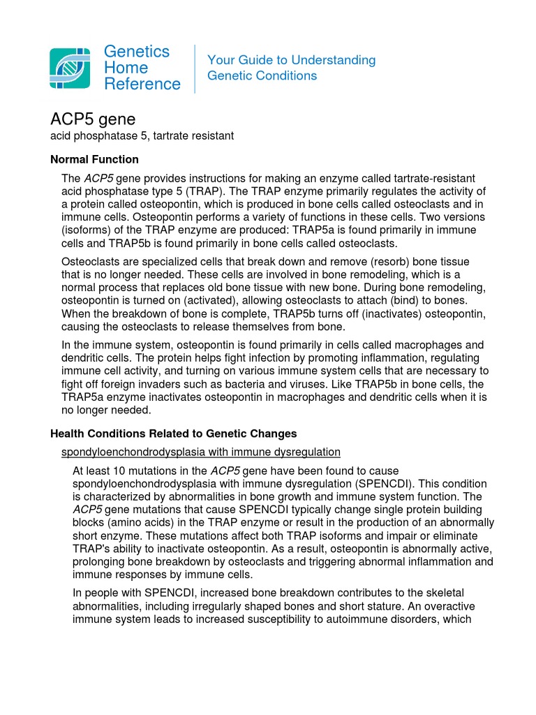 ACP5 Gene Home Reference PDF Bone Immune System