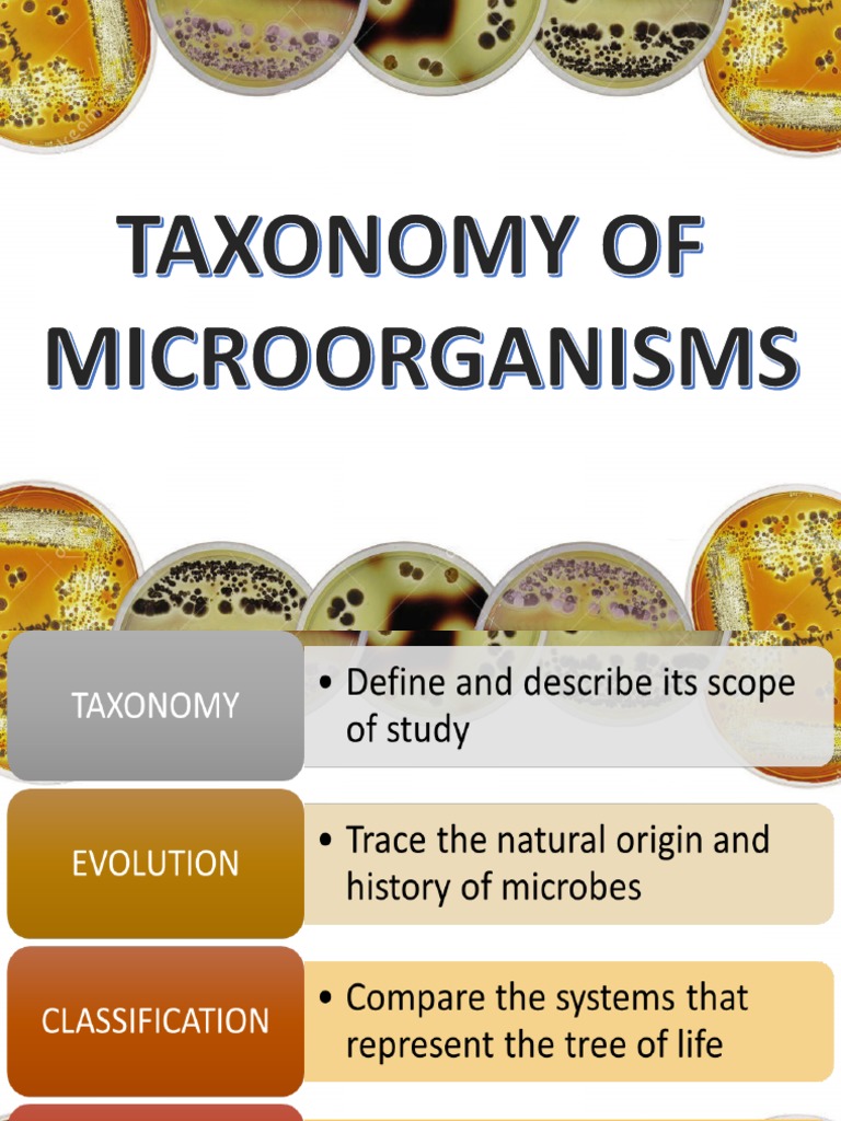 Evolution of Taxonomy Systems | PDF | Organisms | Biology