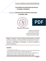 Identificación Forense en Desastres Naturales - (Tsunamis, Incendios)