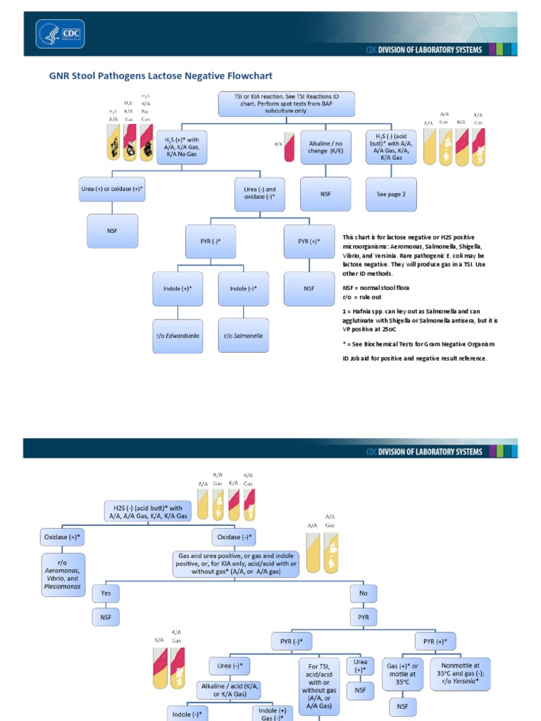 GNR Stool Pathogens Lactose Negative Flowchart 508 PDF