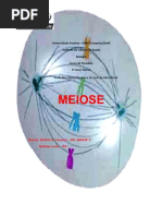 meiose