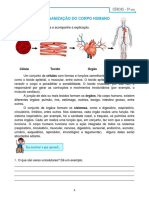 Níveis de Organização Do Corpo Humano